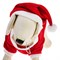 Костюм для собак Новогодний колпак + кофточка, XS (ДС 16-18 см, ОШ 24 см, ОГ 27-30 см) - фото 2020242