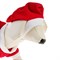 Костюм для собак Новогодний колпак + кофточка, XS (ДС 16-18 см, ОШ 24 см, ОГ 27-30 см) - фото 2020243