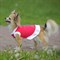Платье OSSO для собак «Красотка», размер 20, микс цветов - фото 2020950