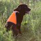 Сигнальный жилет для собак OSSO, 40 (ДС 21 см), микс цветов - фото 2021245