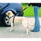 Автомобильный ремень безопасности Trixie для кошки, 20-50 см. - фото 2022232