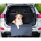 Автомобильная подстилка Trixie для собаки, 1,64 х 1,25 м (черный) - фото 2022236