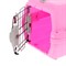 Переноска пластиковая "Неон", 48 х 32 х 29,5 см, вес животного до 5 кг, розовая - фото 2023097