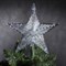 Фигура "Звезда белая ёлочная" 22Х22 см, пластик, 30 LED, 240V МУЛЬТИ, шнур 2 метра - фото 2031848