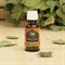 Эфирное масло "Чайное дерево", флакон-капельница, 17 мл, дезинфицирующее, "Добропаровъ" - фото 2065580