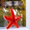 Пластиковый термометр оконный "Звезда" в пакете - фото 2073188